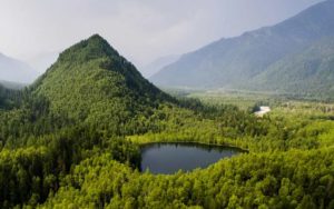 Экскурсия на Озеро Рица