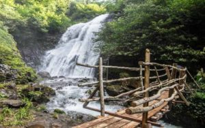 Экскурсия в Абхазию